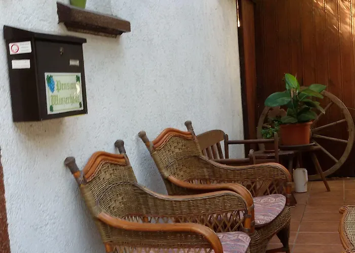 Casa de hóspedes Winzerhaus Bacharach