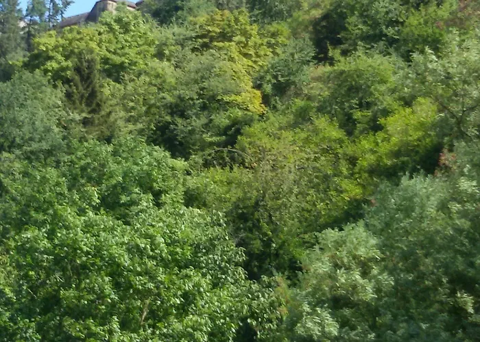 Winzerhaus Бахарах